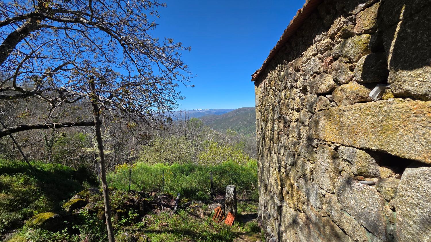  à vendre ferme Famalicão Guarda 2
