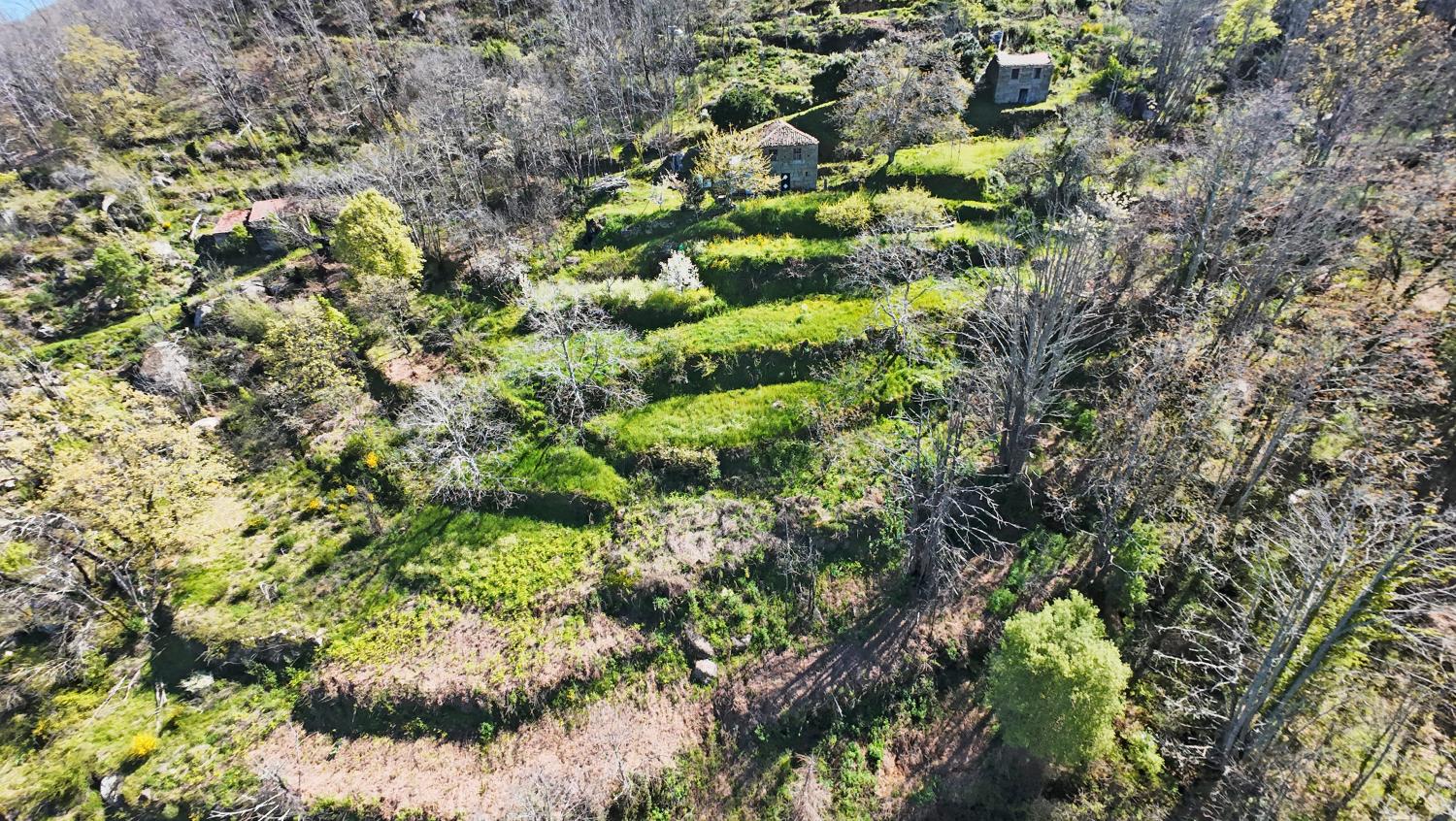  à vendre ferme Famalicão Guarda 8