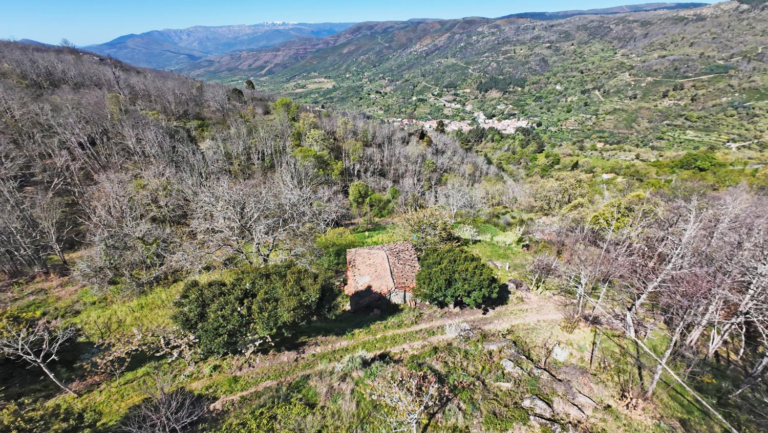  à vendre ferme Famalicão Guarda 7