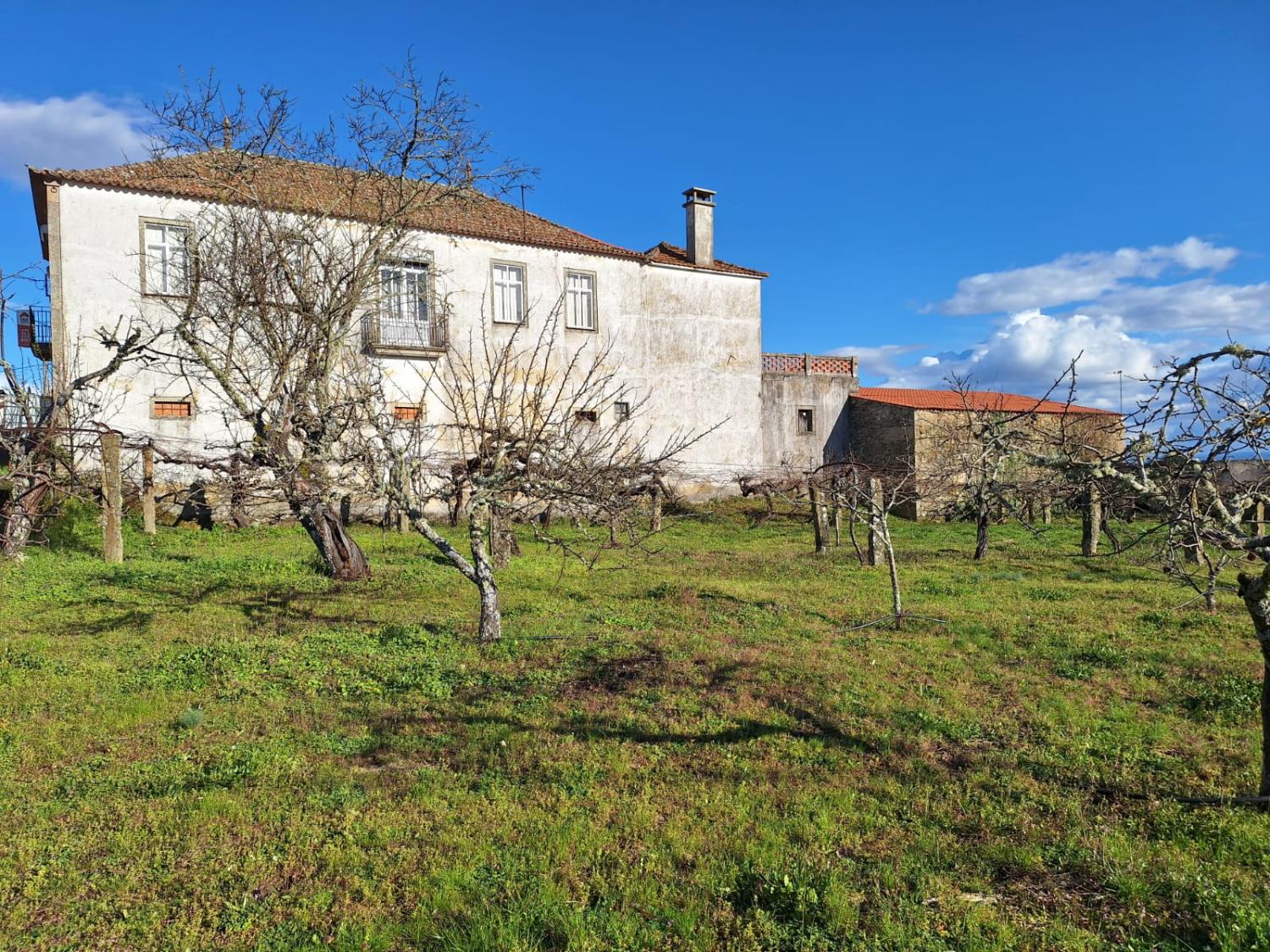  à vendre maison indépendant Pai Penela Mêda 1