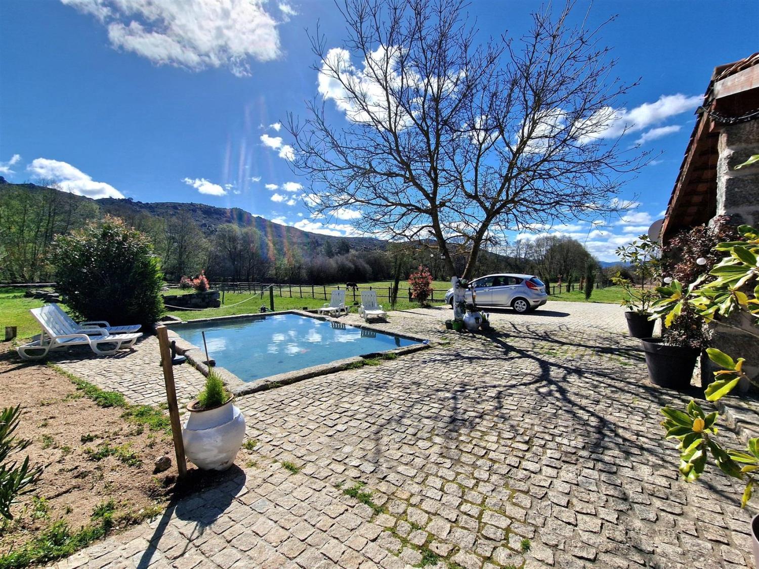  à vendre propriété Celorico da Beira Celorico Da Beira 13