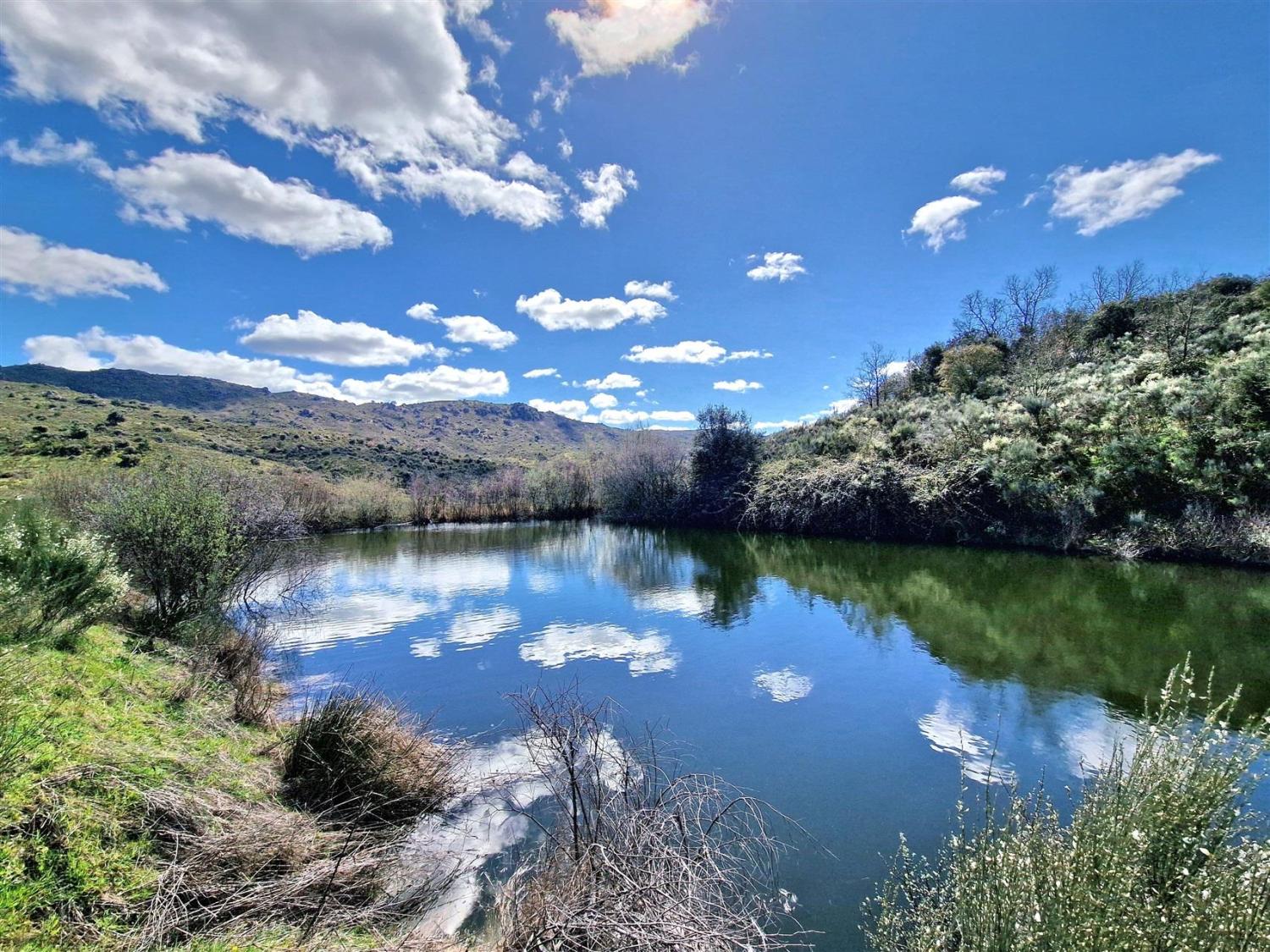  à vendre propriété Celorico da Beira Celorico Da Beira 17