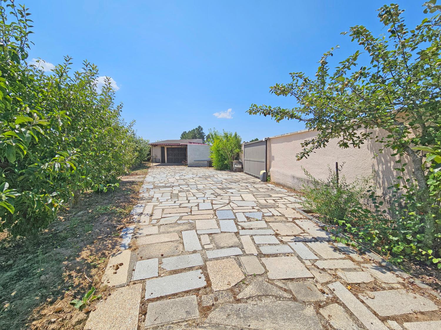  à vendre maison indépendant Souro Pires Pinhel 13