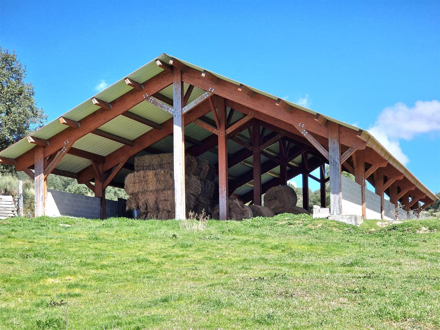  à vendre propriété Celorico da Beira Celorico Da Beira 14