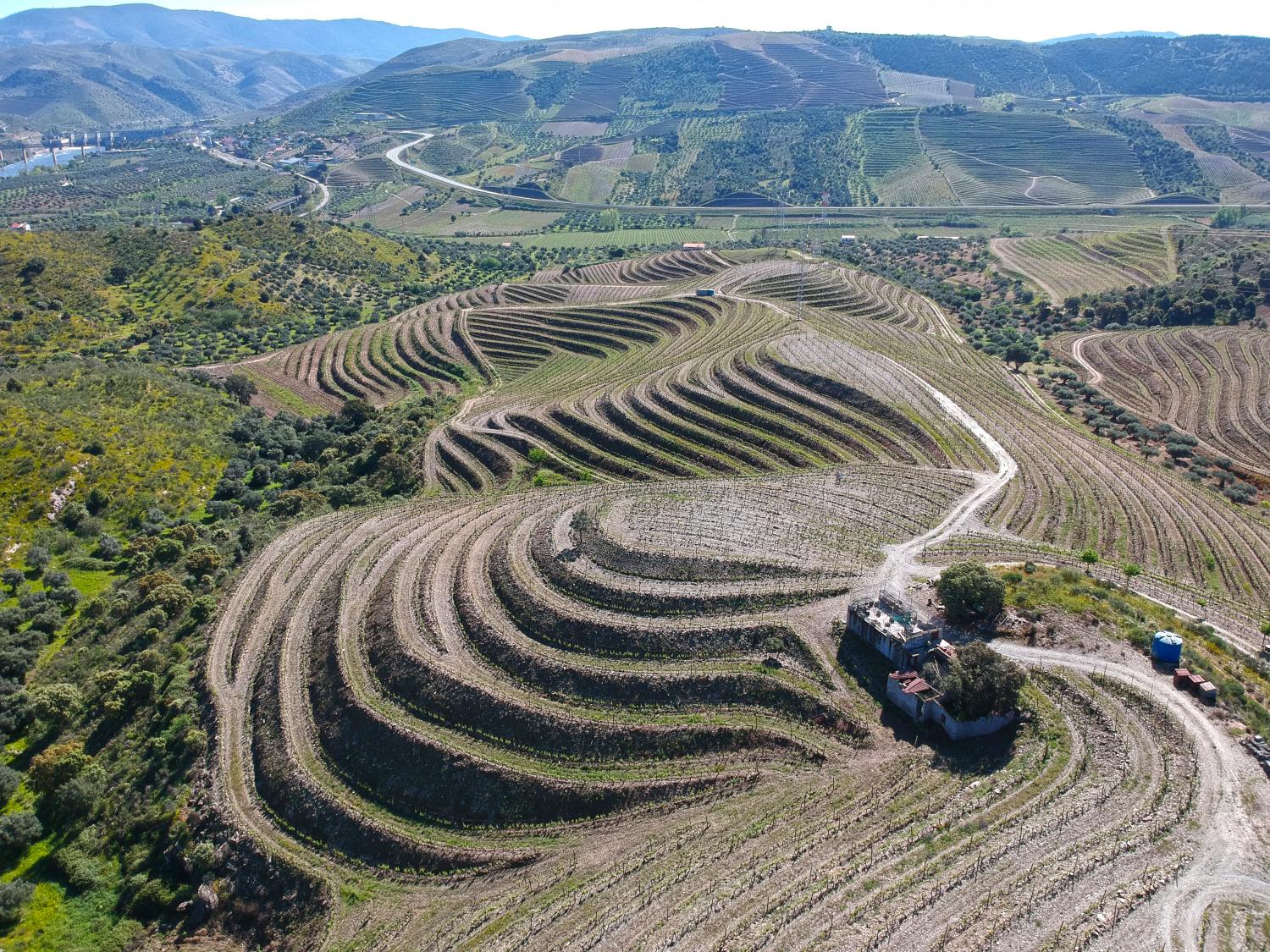  à vendre vignoble Vila Nova de Foz Côa Vila Nova De Foz Côa 1