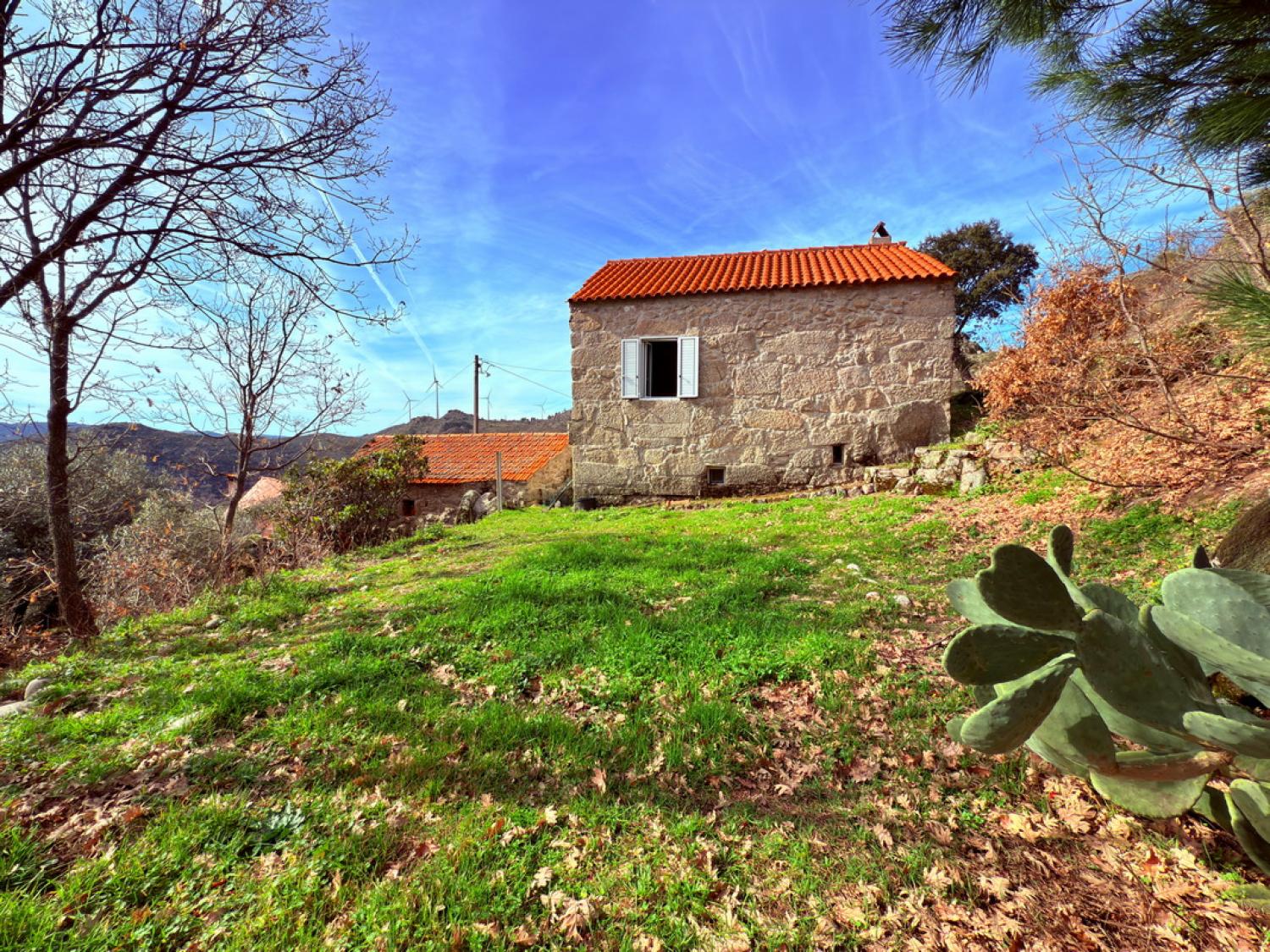  à vendre ferme Pousafoles do Bispo Sabugal 5